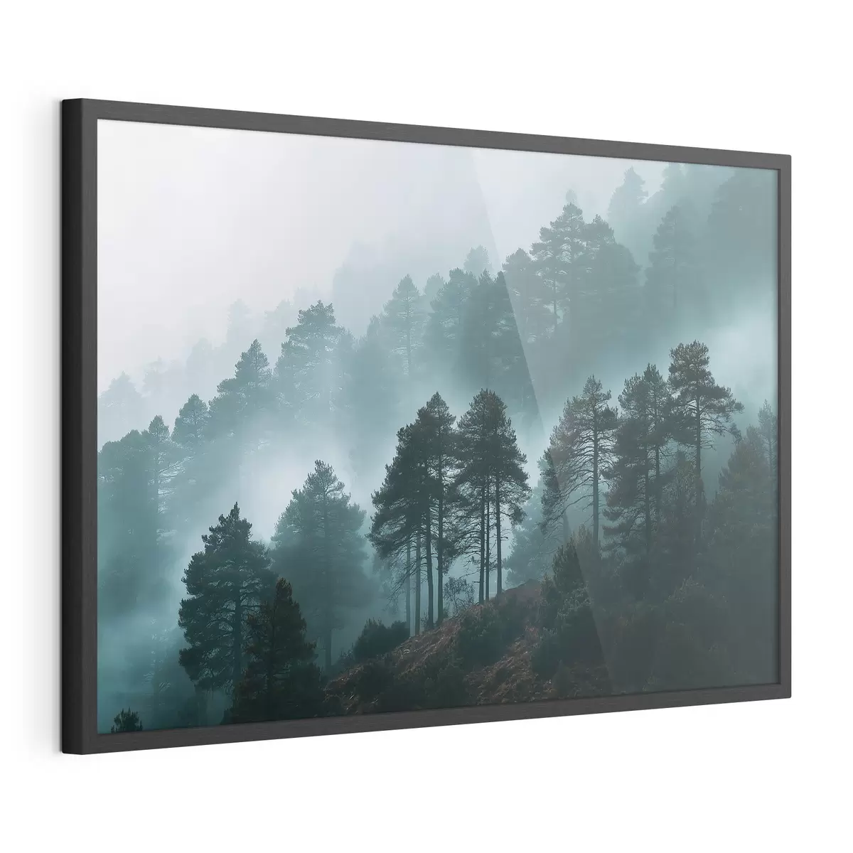 Poster Forêt f49672