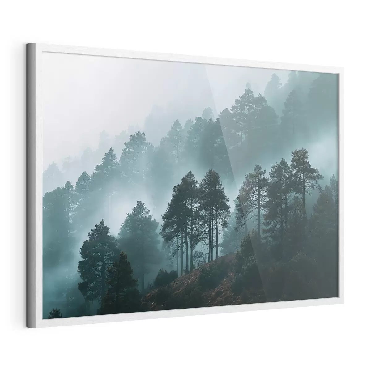 Poster Forêt f49672