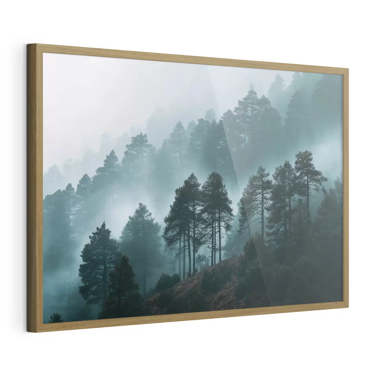 Poster Forêt f49672