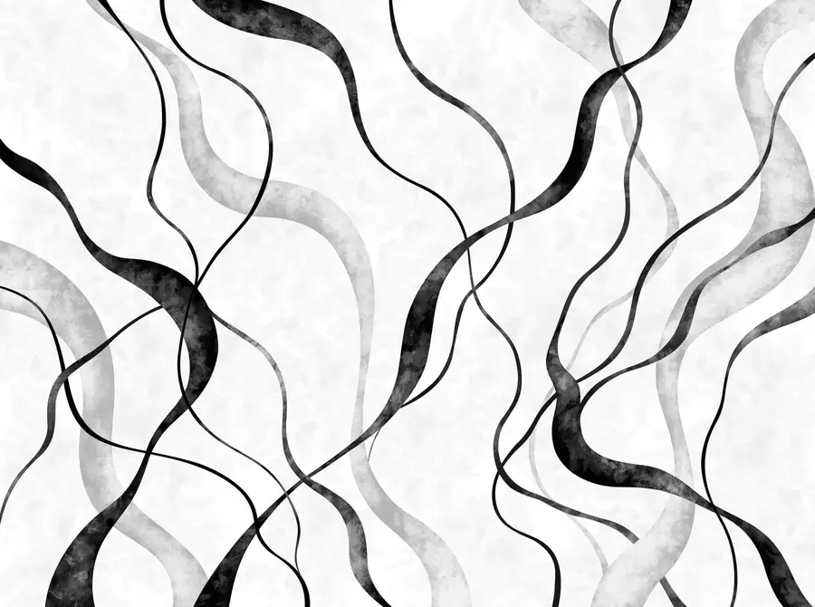 Papier peint Lignes fluides et abstraites dans des tons monochromes w05699