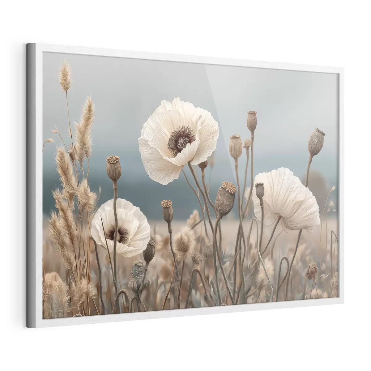 Poster Coquelicots des champs avec leurs capsules de graines f49691
