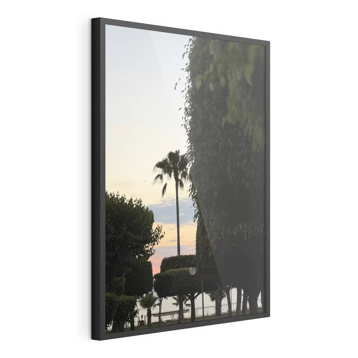Poster Un palmier dans un parc paysager au coucher du soleil f49697