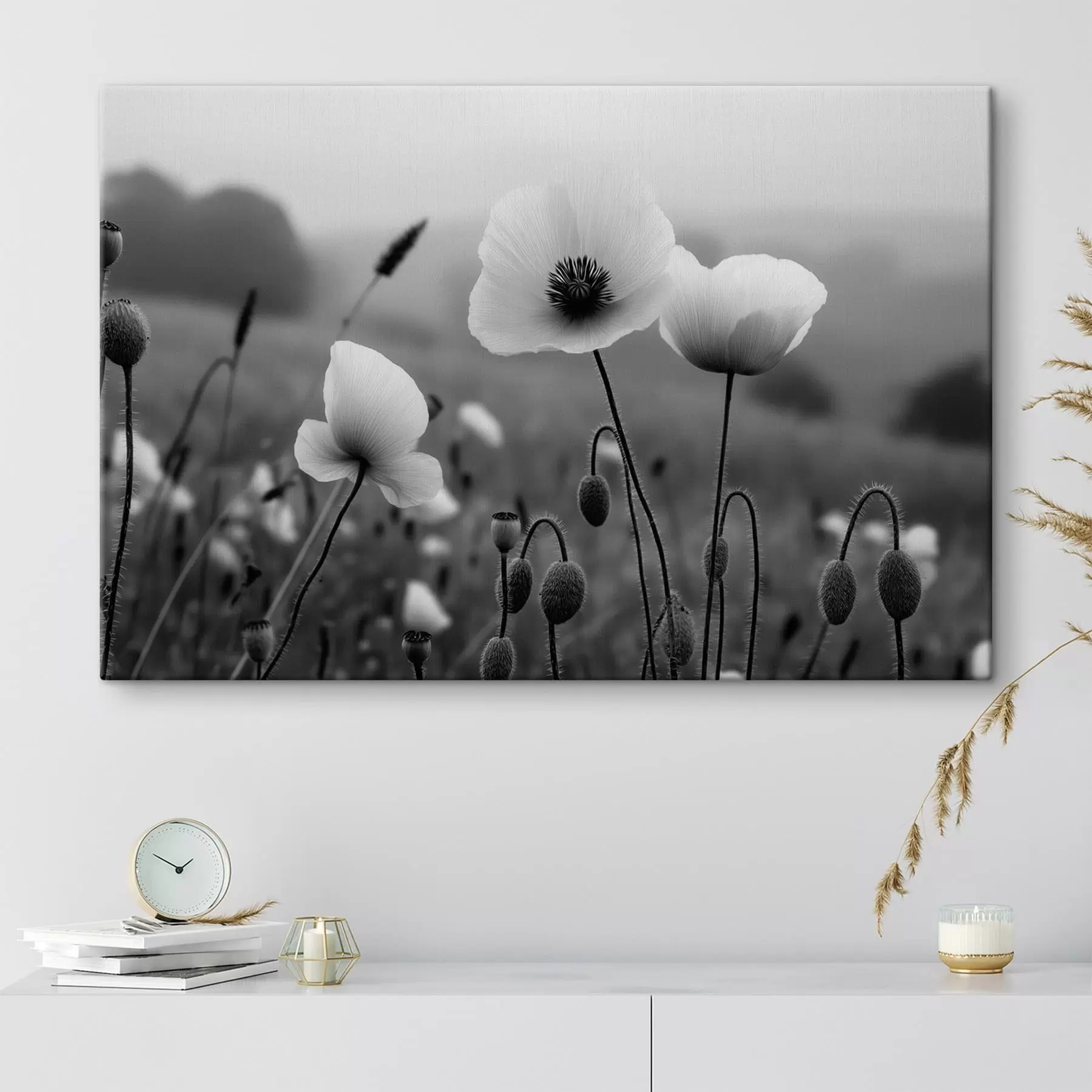 Tableau Des coquelicots noirs et blancs sur un fond flou s49692