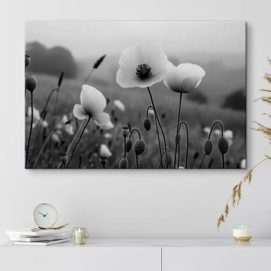 Tableau Des coquelicots noirs et blancs sur un fond flou s49692