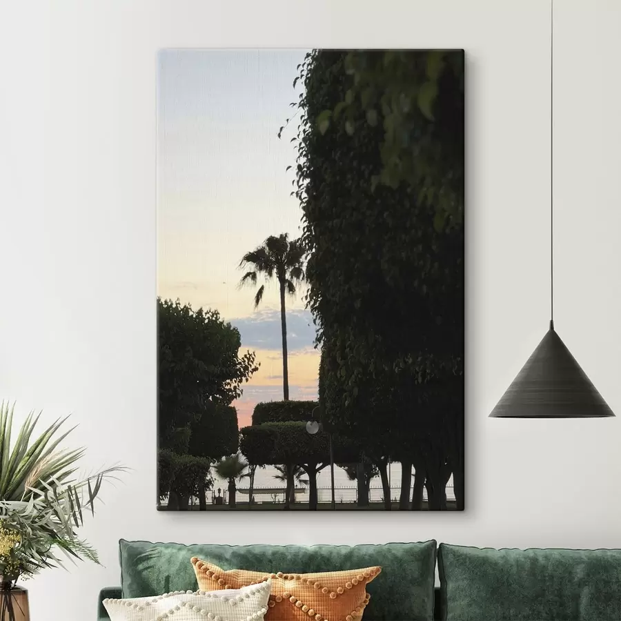 Tableau Un palmier dans un parc paysager au coucher du soleil s49697