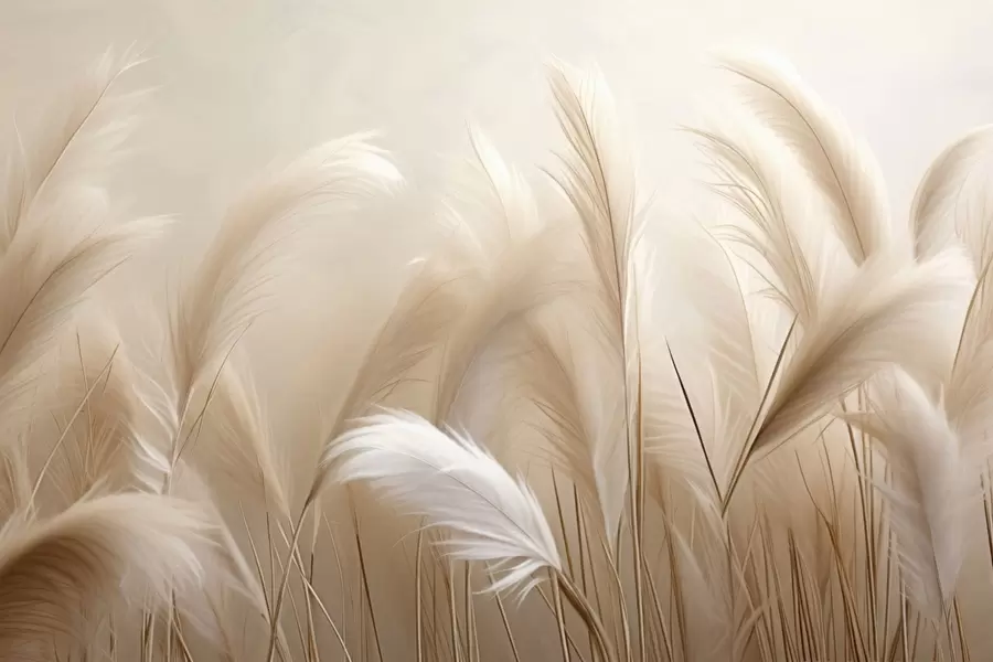 Papier peint Herbe de la pampa w05716