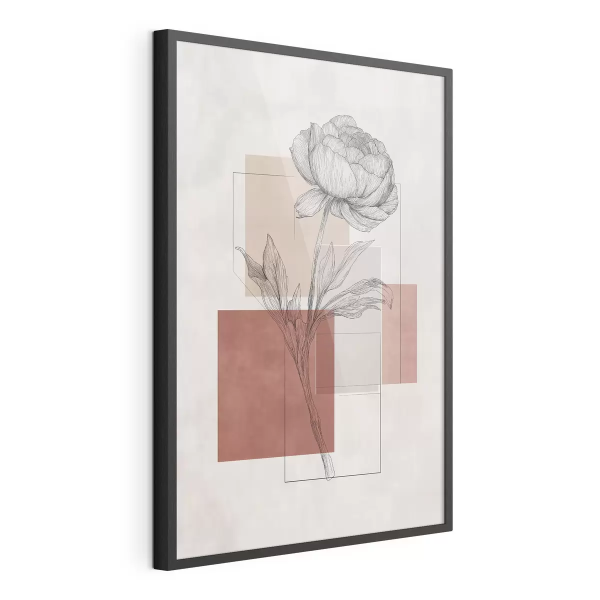 Poster Géométrie de la pivoine f49841
