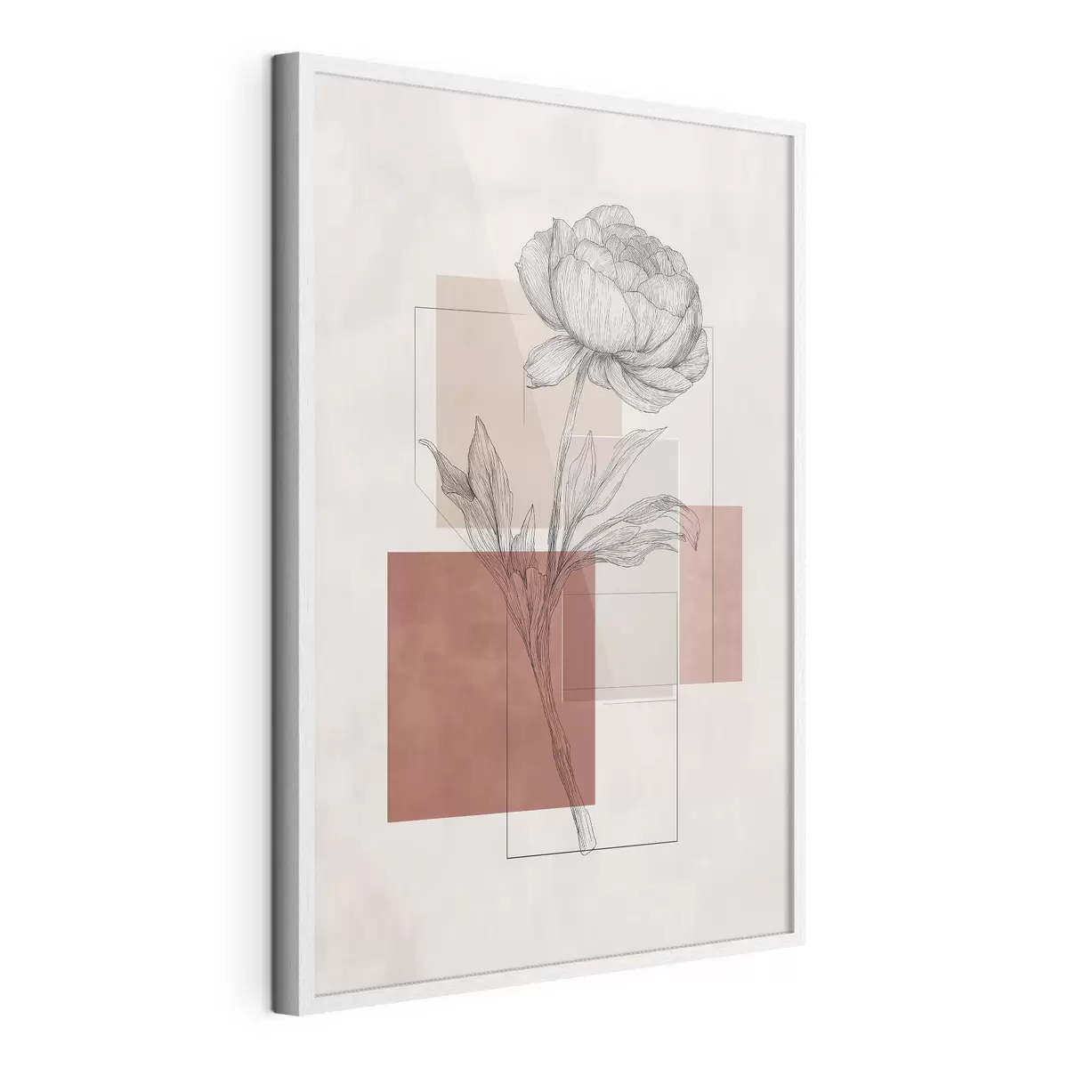 Poster Géométrie de la pivoine f49841