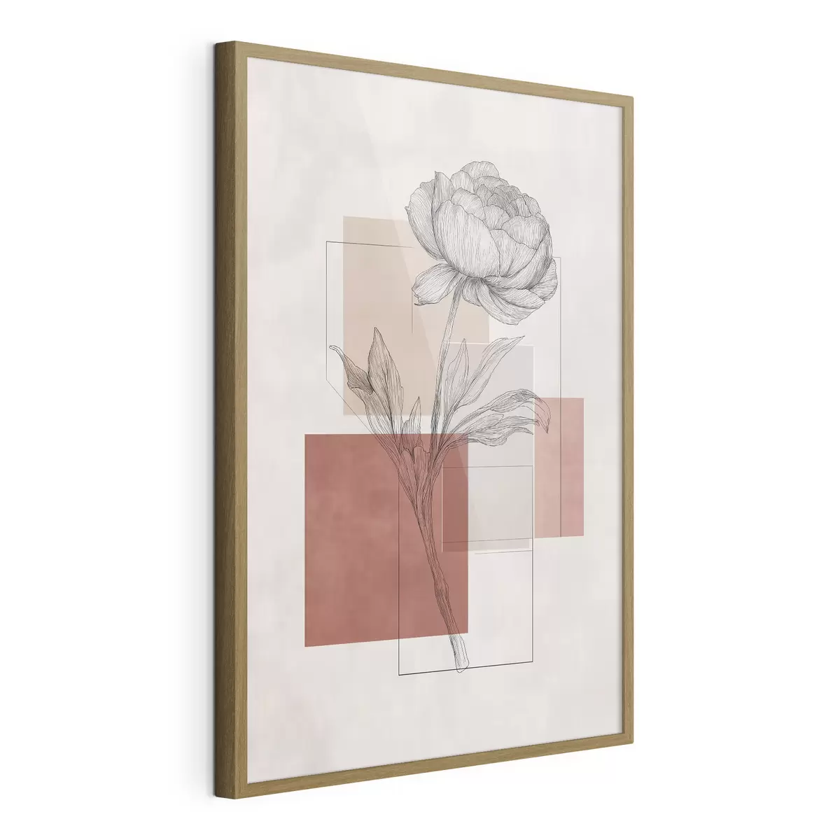 Poster Géométrie de la pivoine f49841