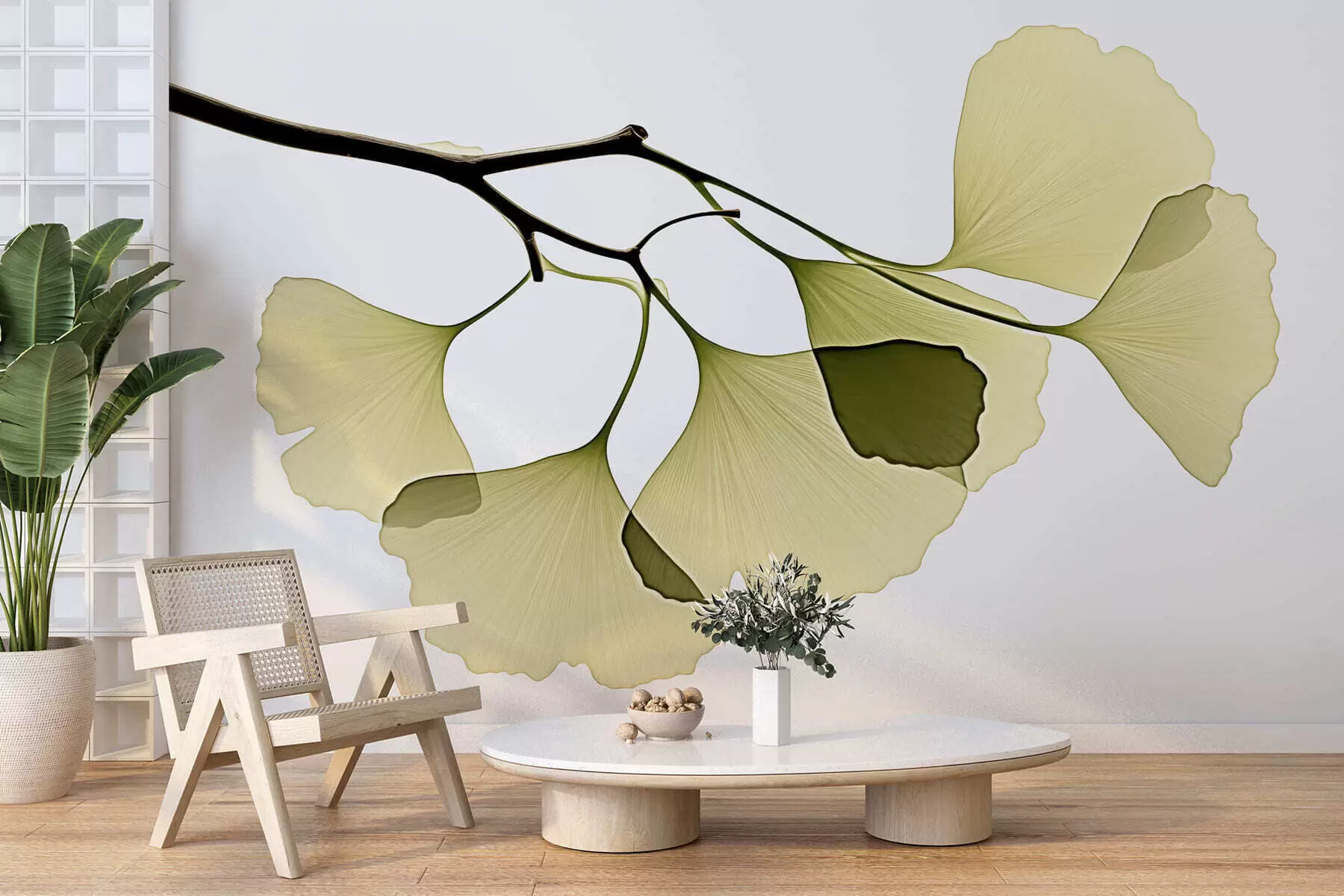 Papier peint Feuilles en éventail du ginkgo w09968