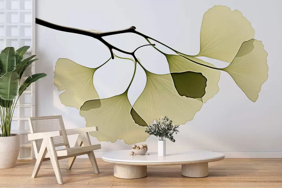 Papier peint Feuilles en éventail du ginkgo w09968