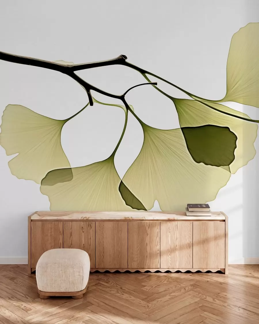 Papier peint Feuilles en éventail du ginkgo w09968