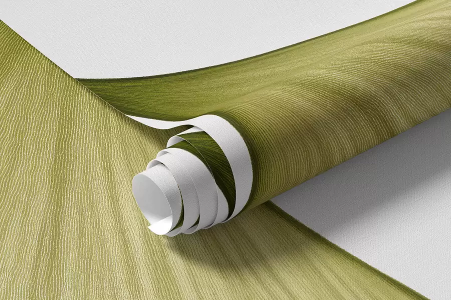Papier peint Feuilles en éventail du ginkgo w09968