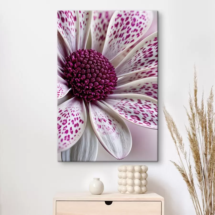 Tableau Gros plan sur une fleur ressemblant à une marguerite, parsemée de taches léopard d'un magenta éclatant s49865