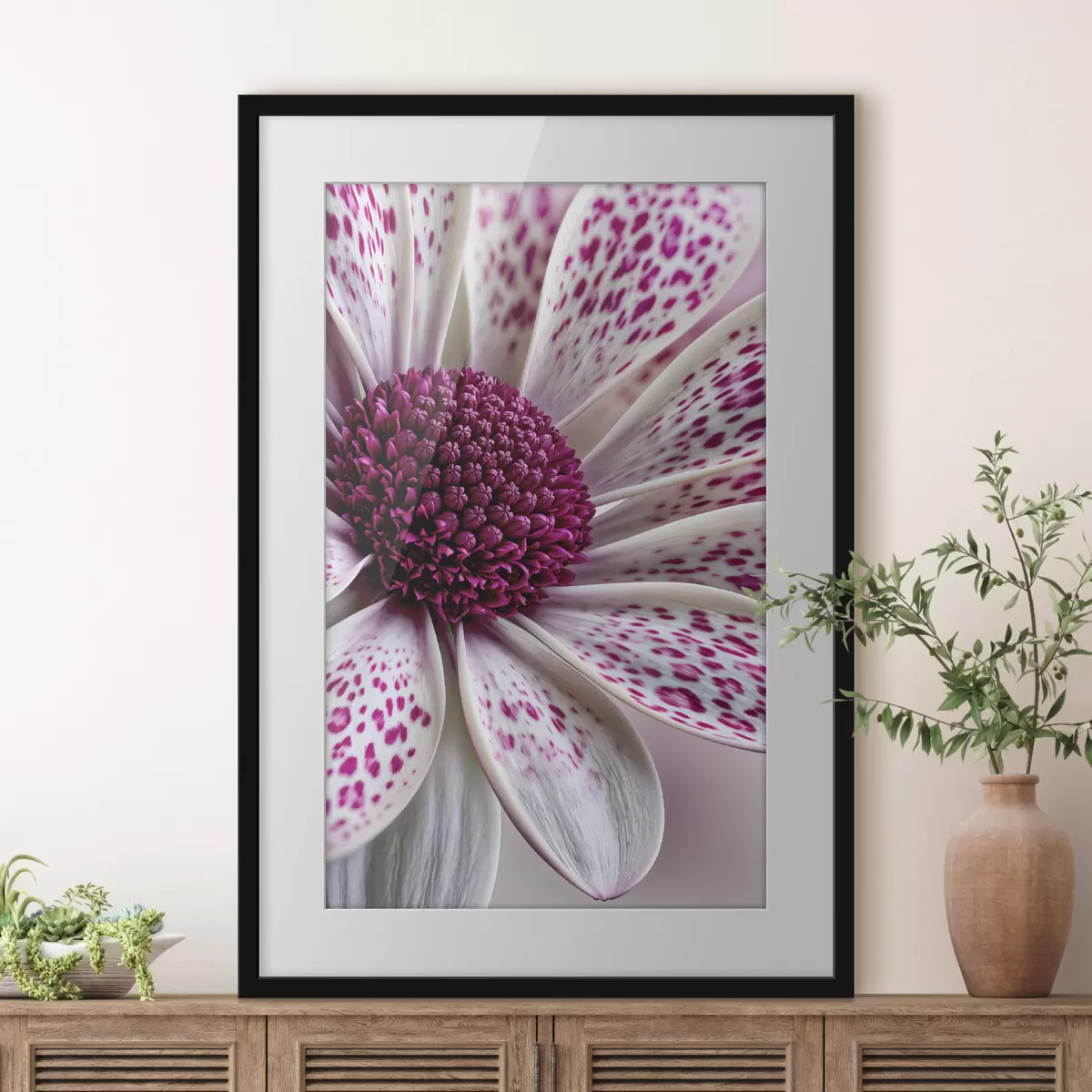 Poster Gros plan sur une fleur ressemblant à une marguerite, parsemée de taches léopard d'un magenta éclatant f49865