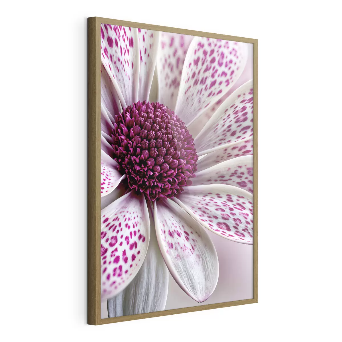Poster Gros plan sur une fleur ressemblant à une marguerite, parsemée de taches léopard d'un magenta éclatant f49865
