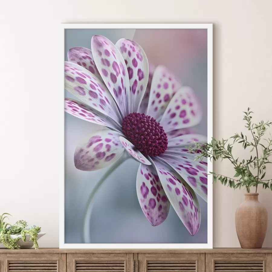 Papier peint Fleur ressemblant à une marguerite, parsemée de taches léopard d'un magenta éclatant f49866