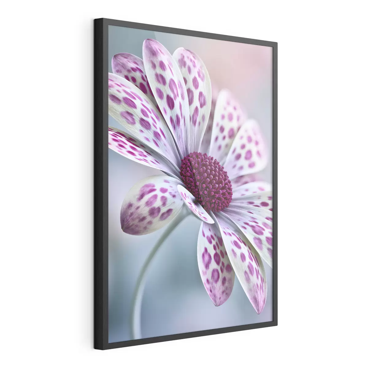 Poster Fleur ressemblant à une marguerite, parsemée de taches léopard d'un magenta éclatant f49866