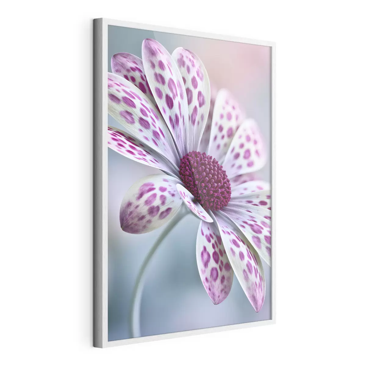 Poster Fleur ressemblant à une marguerite, parsemée de taches léopard d'un magenta éclatant f49866