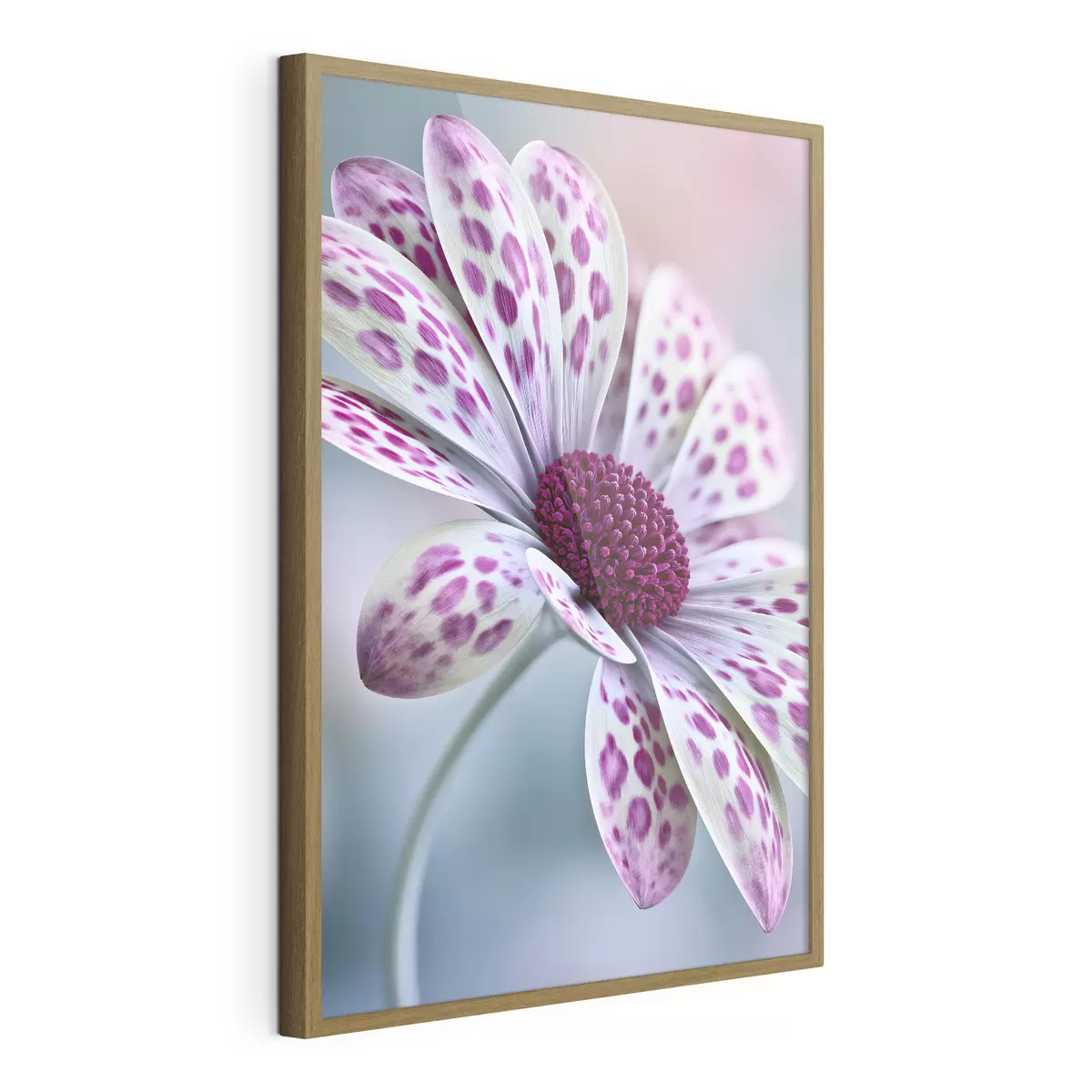 Poster Fleur ressemblant à une marguerite, parsemée de taches léopard d'un magenta éclatant f49866