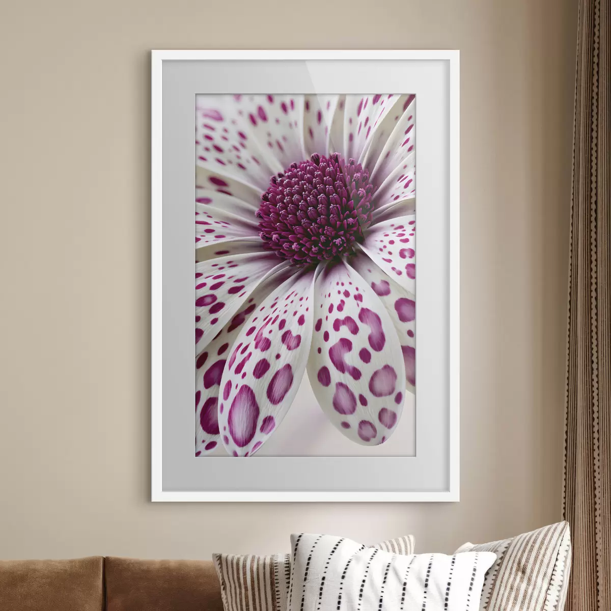 Poster Gros plan sur une fleur ressemblant à une marguerite, parsemée de taches léopard d'un magenta éclatant f49867