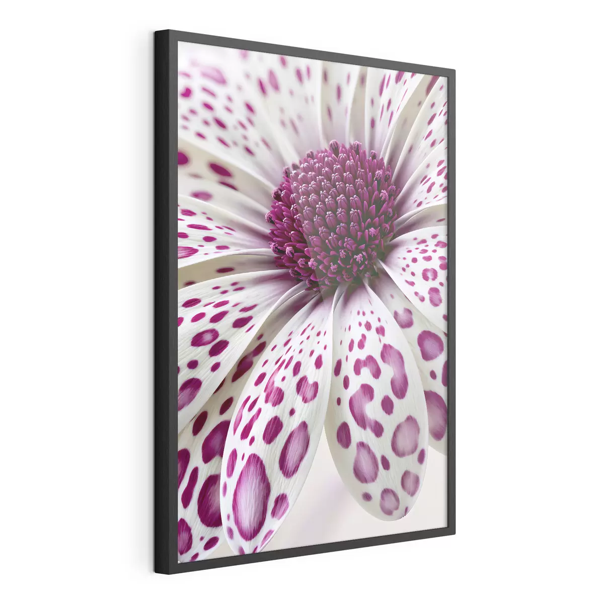 Poster Gros plan sur une fleur ressemblant à une marguerite, parsemée de taches léopard d'un magenta éclatant f49867
