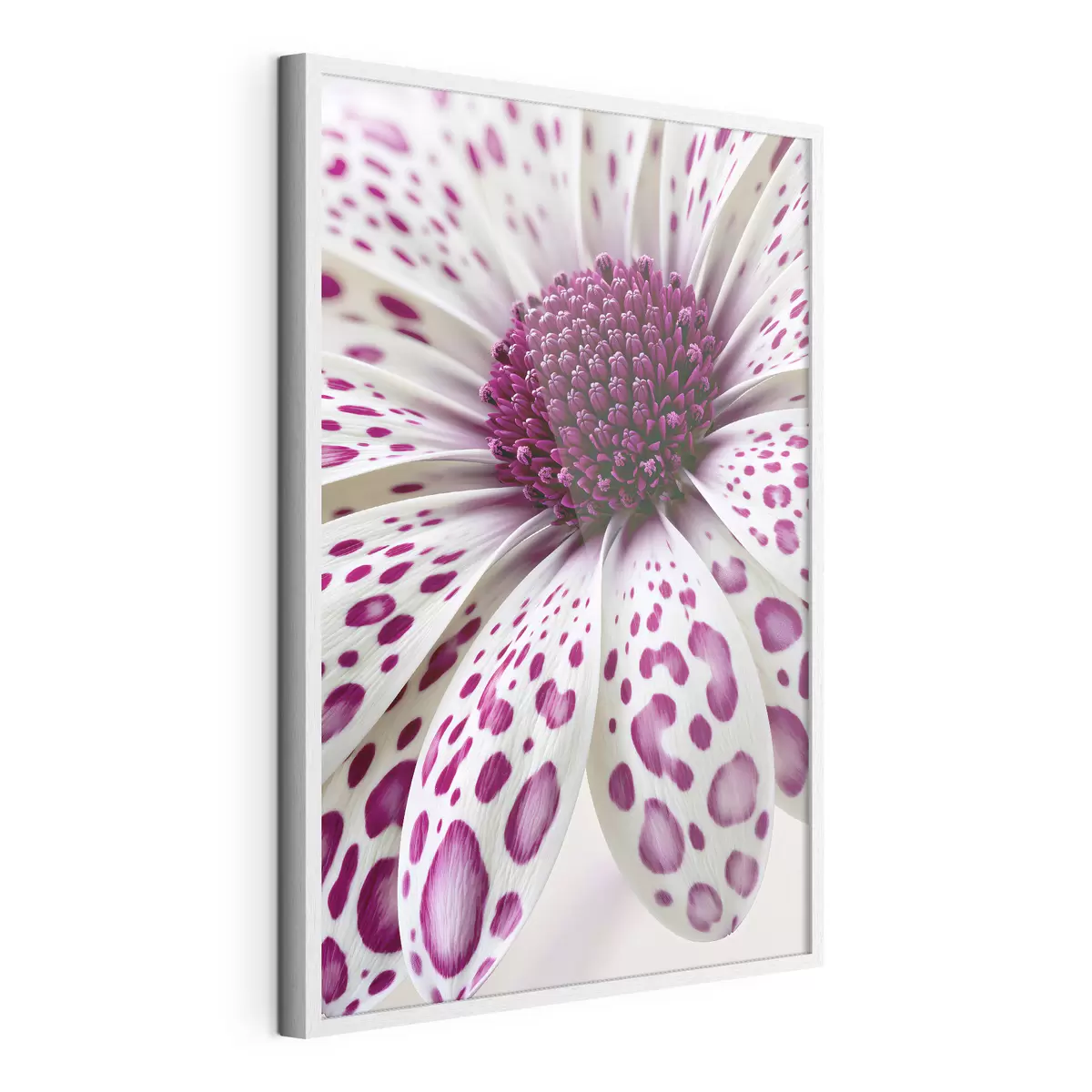 Poster Gros plan sur une fleur ressemblant à une marguerite, parsemée de taches léopard d'un magenta éclatant f49867
