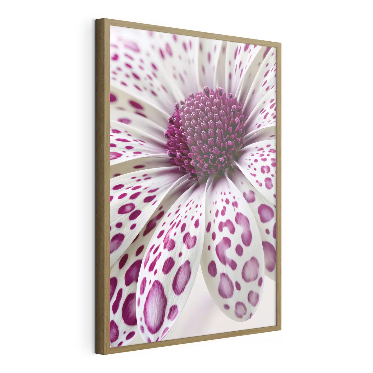 Poster Gros plan sur une fleur ressemblant à une marguerite, parsemée de taches léopard d'un magenta éclatant f49867