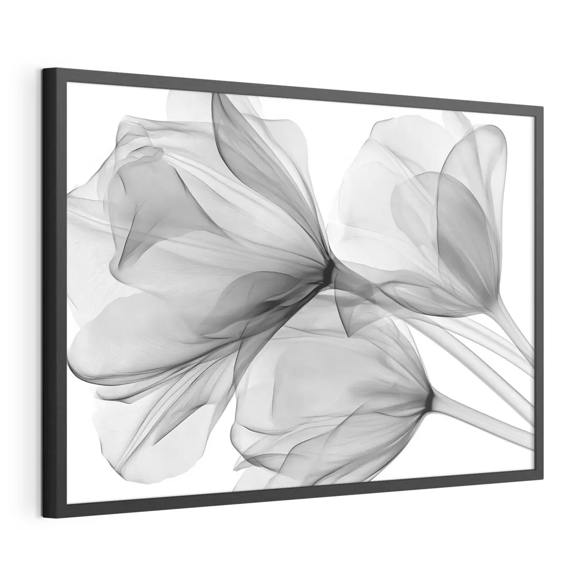 Poster Mystère et beauté f49892