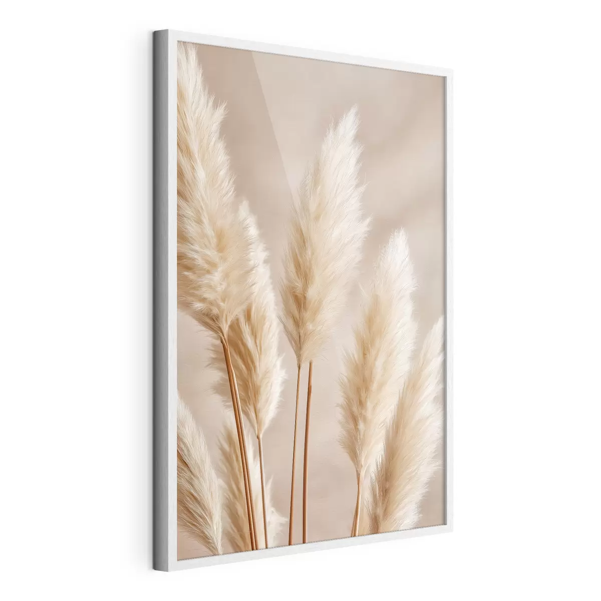 Poster Épis de maïs et herbe de la pampa f49920
