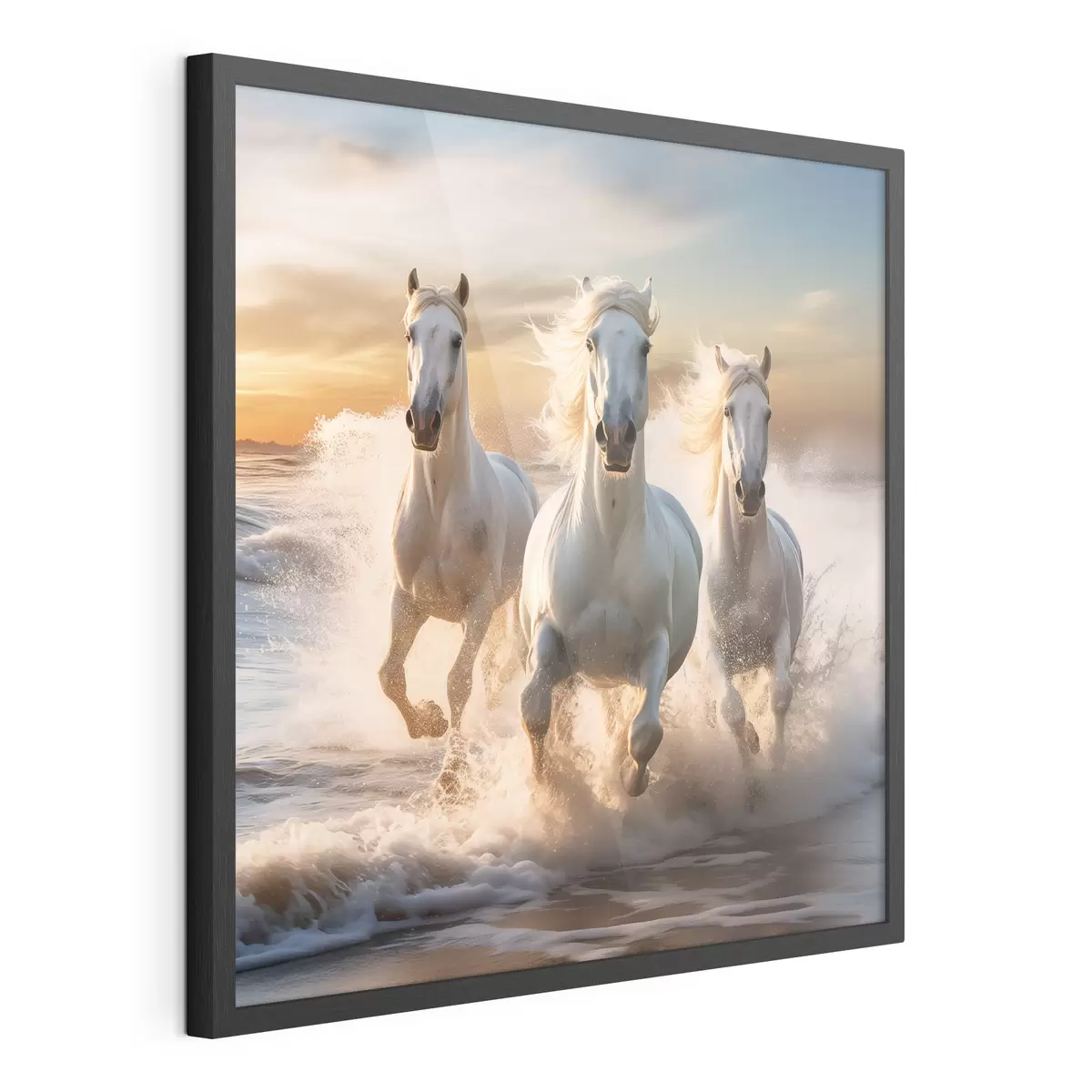 Poster Rivage et aventure f50037