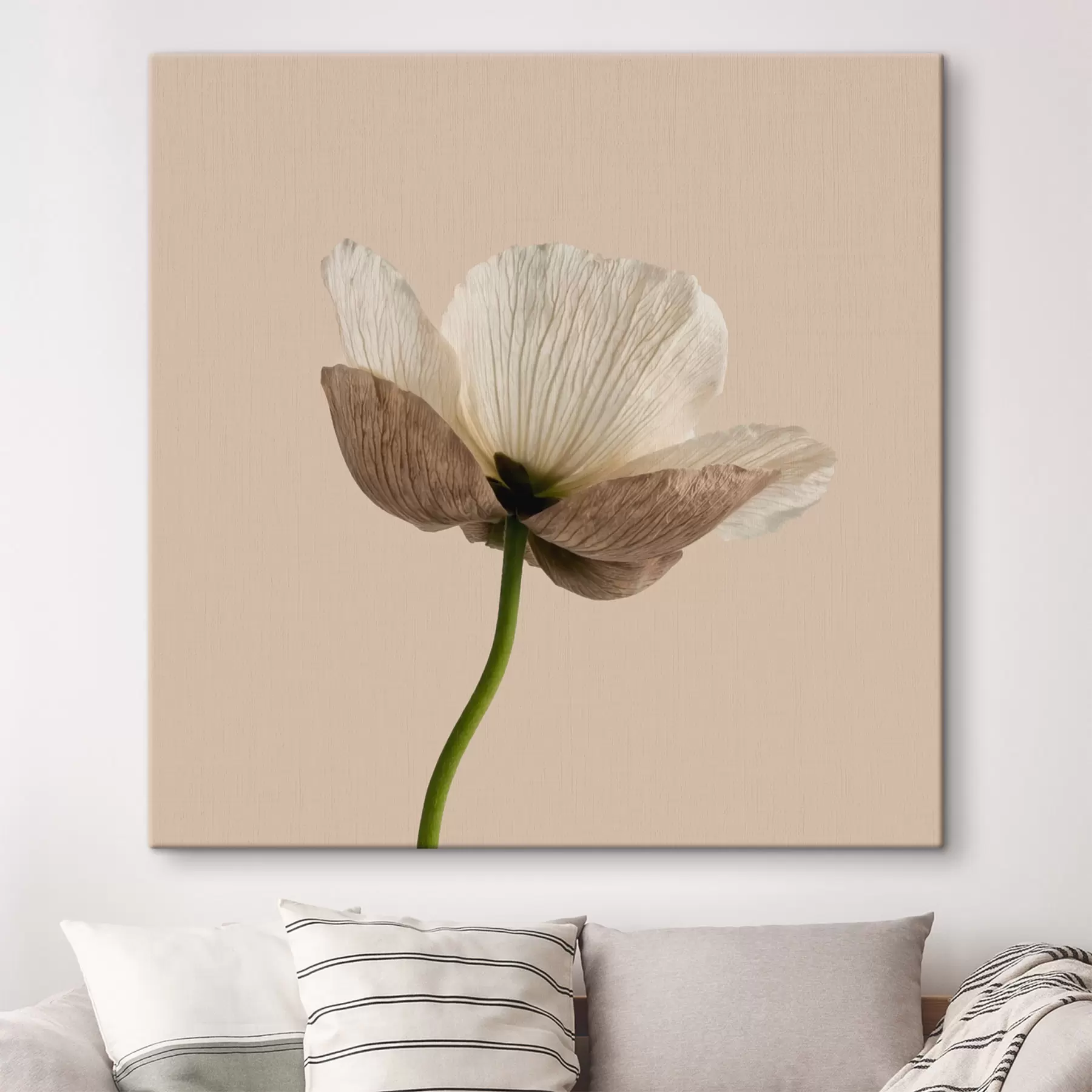 Tableau Fleur délicate aux pétales translucides sur fond beige, dans un style minimaliste s49718