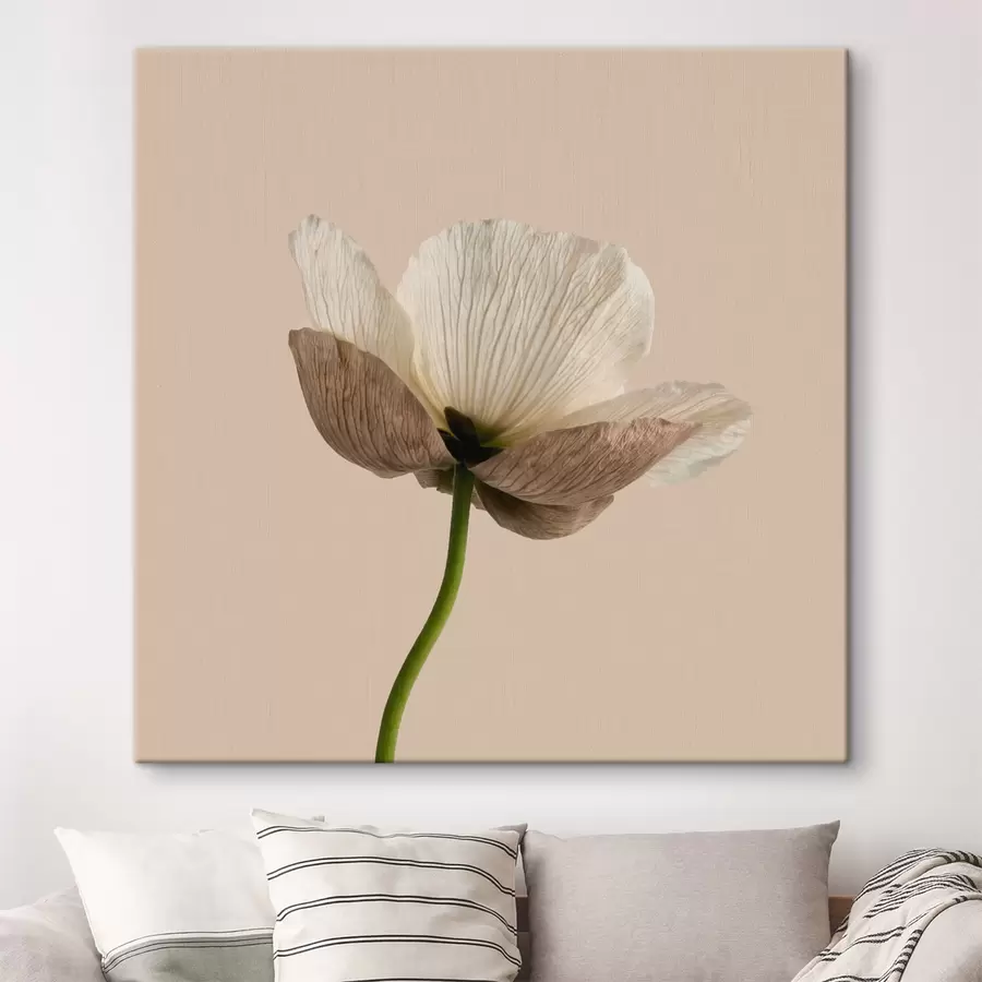 Tableau Fleur délicate aux pétales translucides sur fond beige, dans un style minimaliste s49718