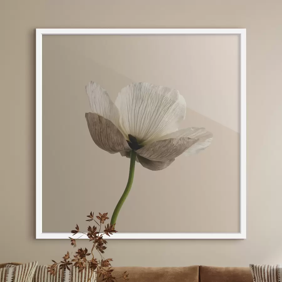 Papier peint Fleur délicate aux pétales translucides sur fond beige, dans un style minimaliste f49718