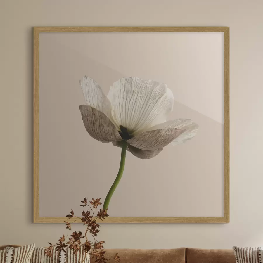 Papier peint Fleur délicate aux pétales translucides sur fond beige, dans un style minimaliste f49718