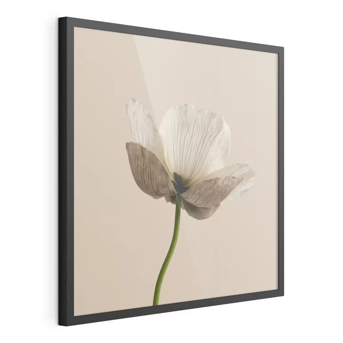 Poster Fleur délicate aux pétales translucides sur fond beige, dans un style minimaliste f49718