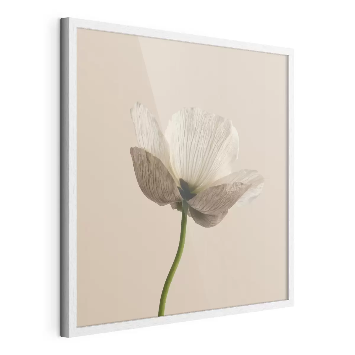 Poster Fleur délicate aux pétales translucides sur fond beige, dans un style minimaliste f49718