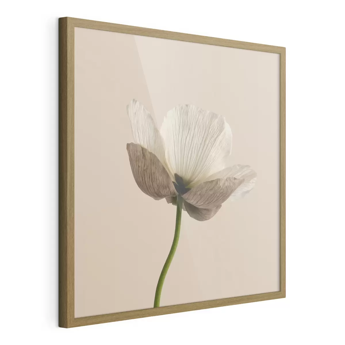 Poster Fleur délicate aux pétales translucides sur fond beige, dans un style minimaliste f49718