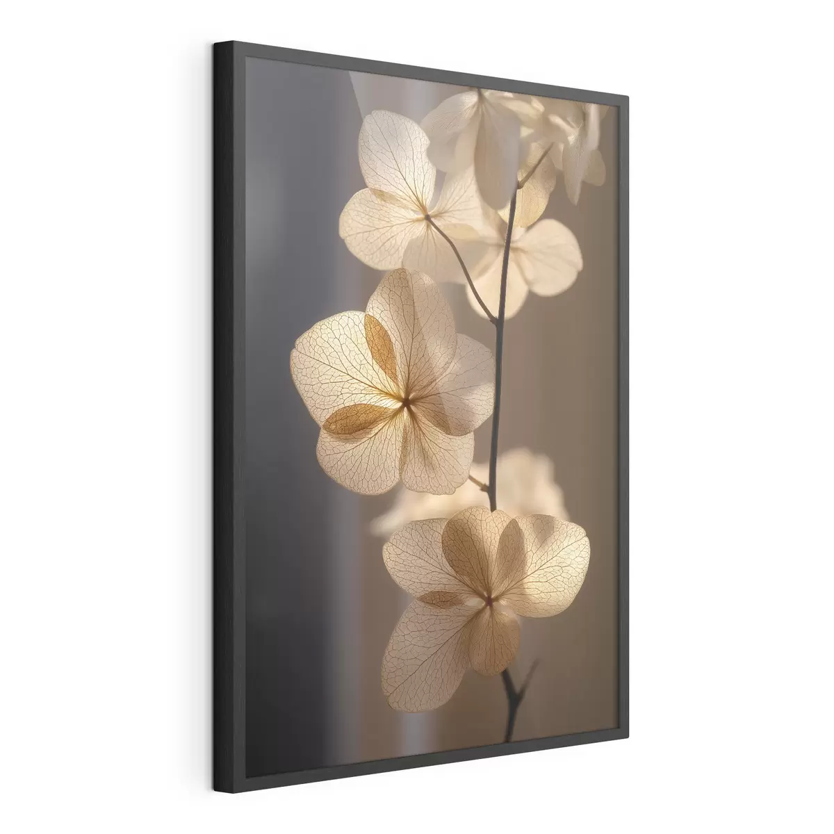 Poster Branche délicate aux fleurs translucides f49974