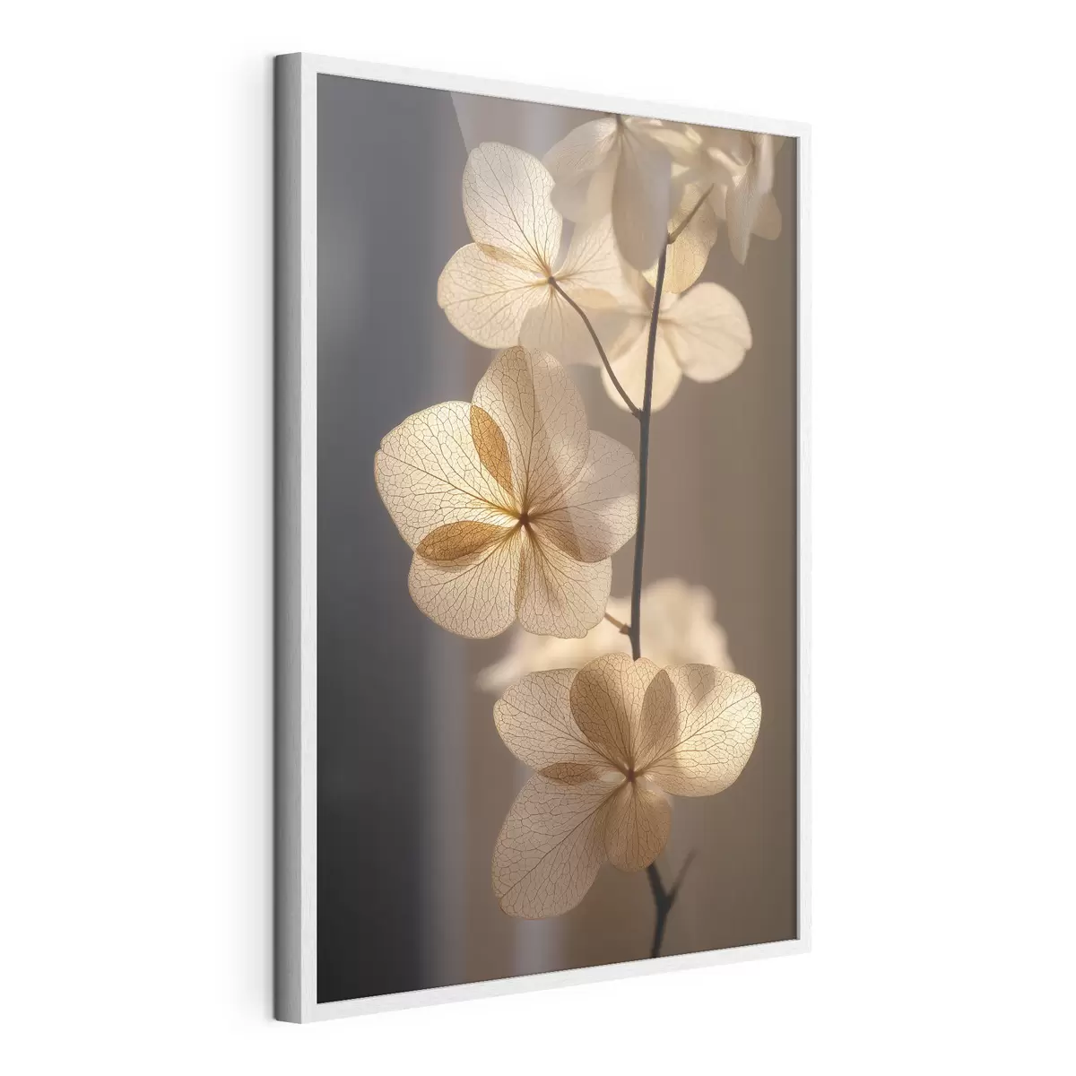 Poster Branche délicate aux fleurs translucides f49974