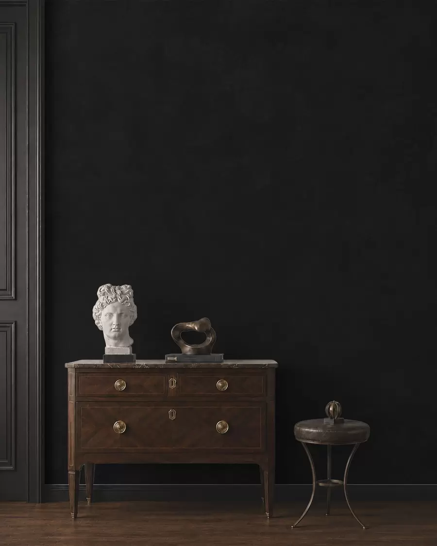 Papier peint Une teinte charbon foncé à la texture douce, avec des dégradés fumés subtils w05814v4