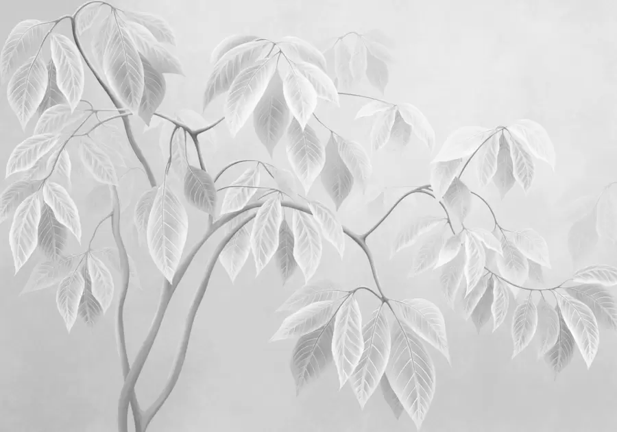Papier peint Des branches claires aux grandes feuilles sur un fond clair w05806