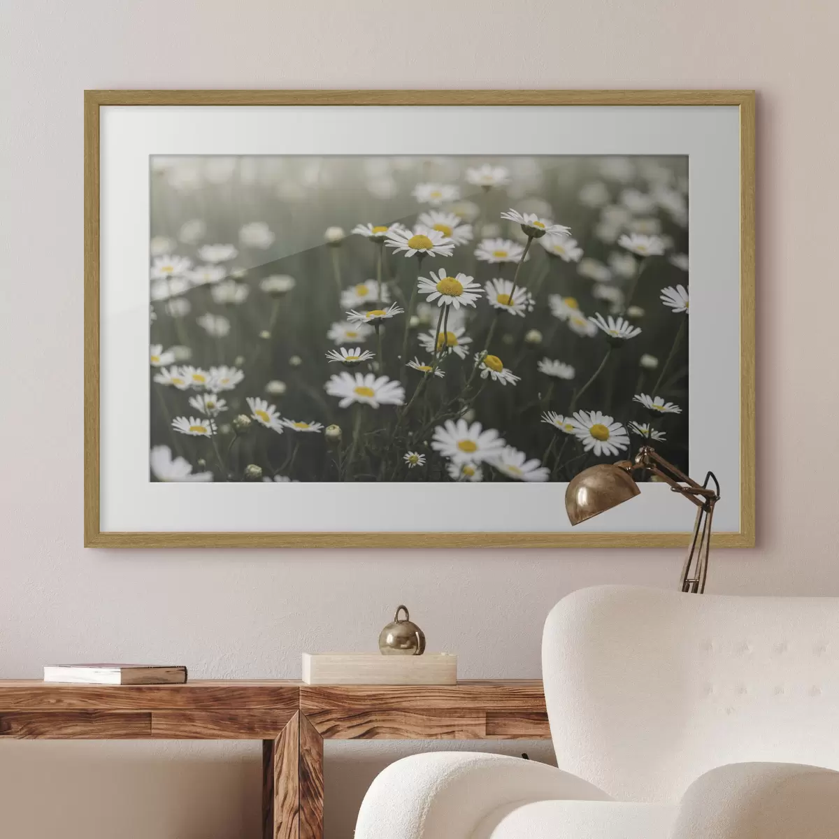 Poster Champ de marguerites blanches au cœur jaune f50588