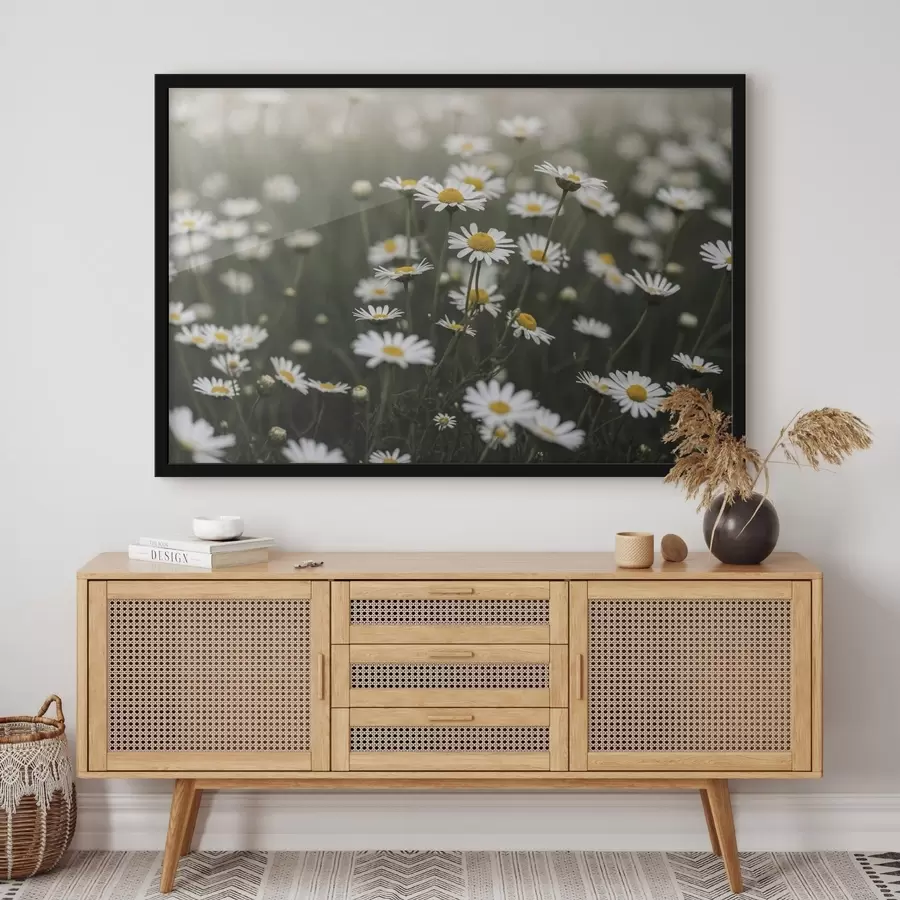Papier peint Champ de marguerites blanches au cœur jaune f50588