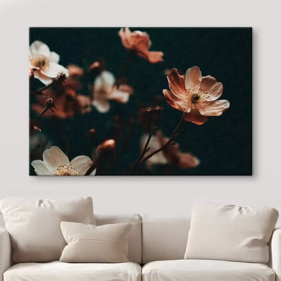 Tableau Des fleurs aux teintes chaudes sur un fond sombre s50578