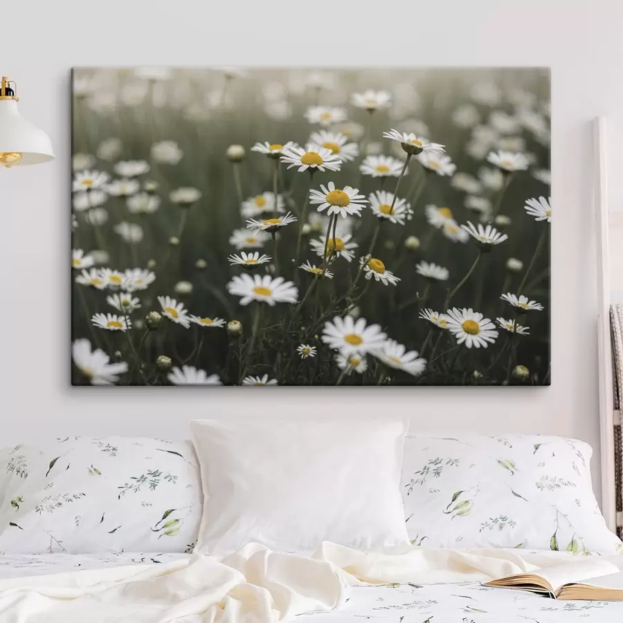 Tableau Champ de marguerites blanches au cœur jaune s50588