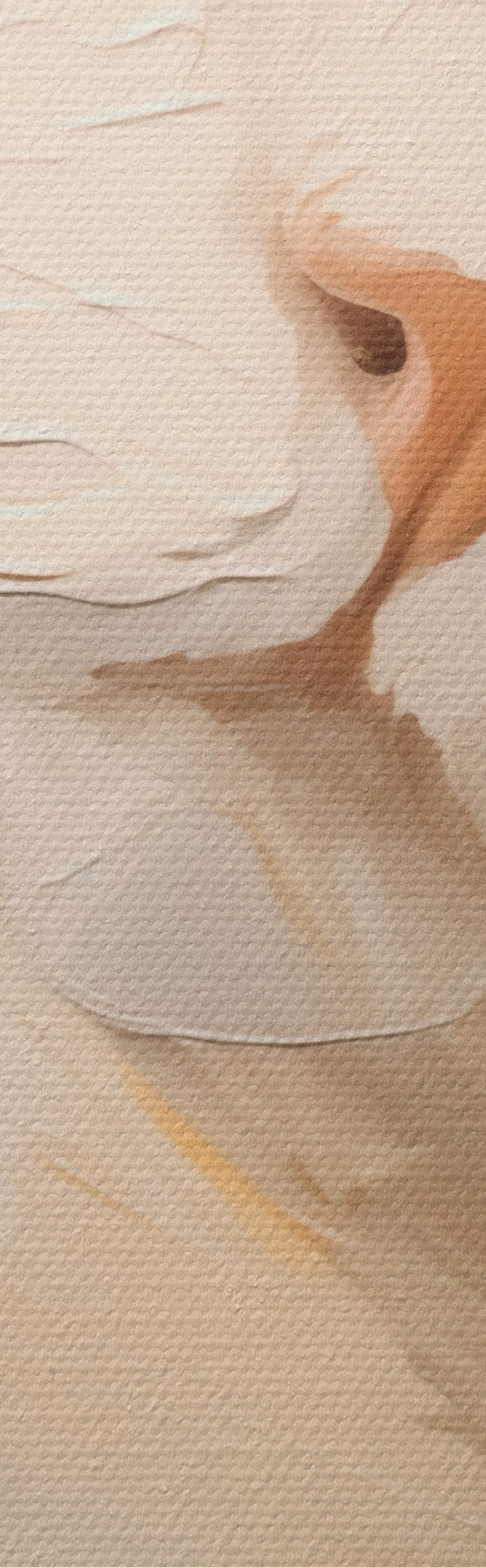 Tableau Chat, peinture d'imitation m31063