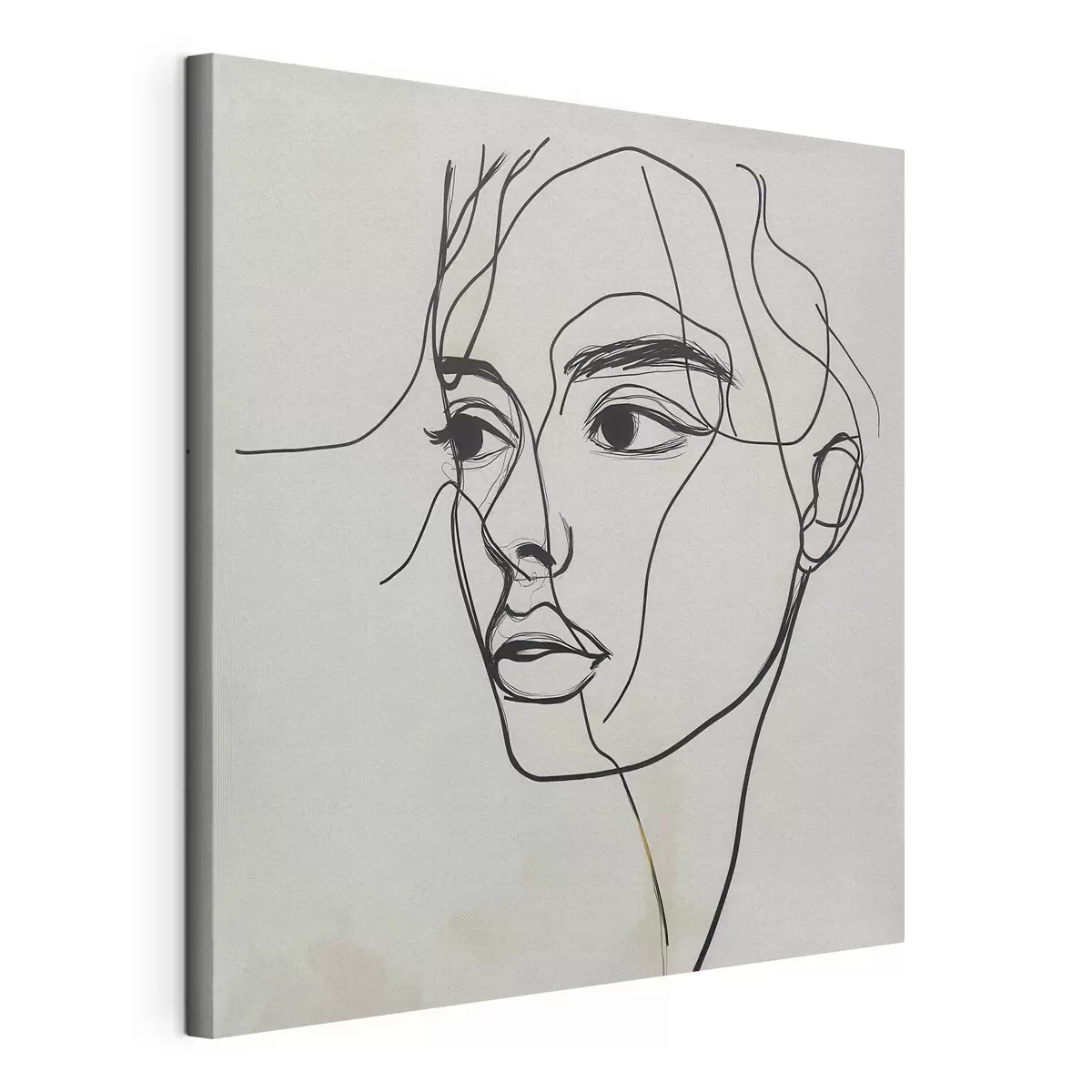 Tableau Portrait linéaire d'un visage s51002
