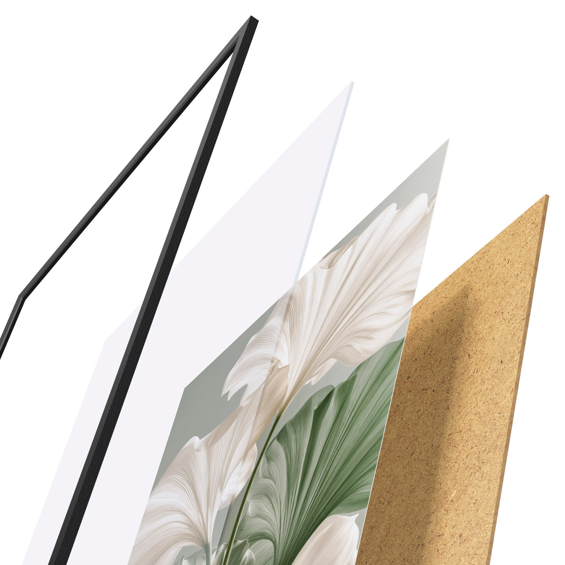 Poster Feuilles délicates d31037