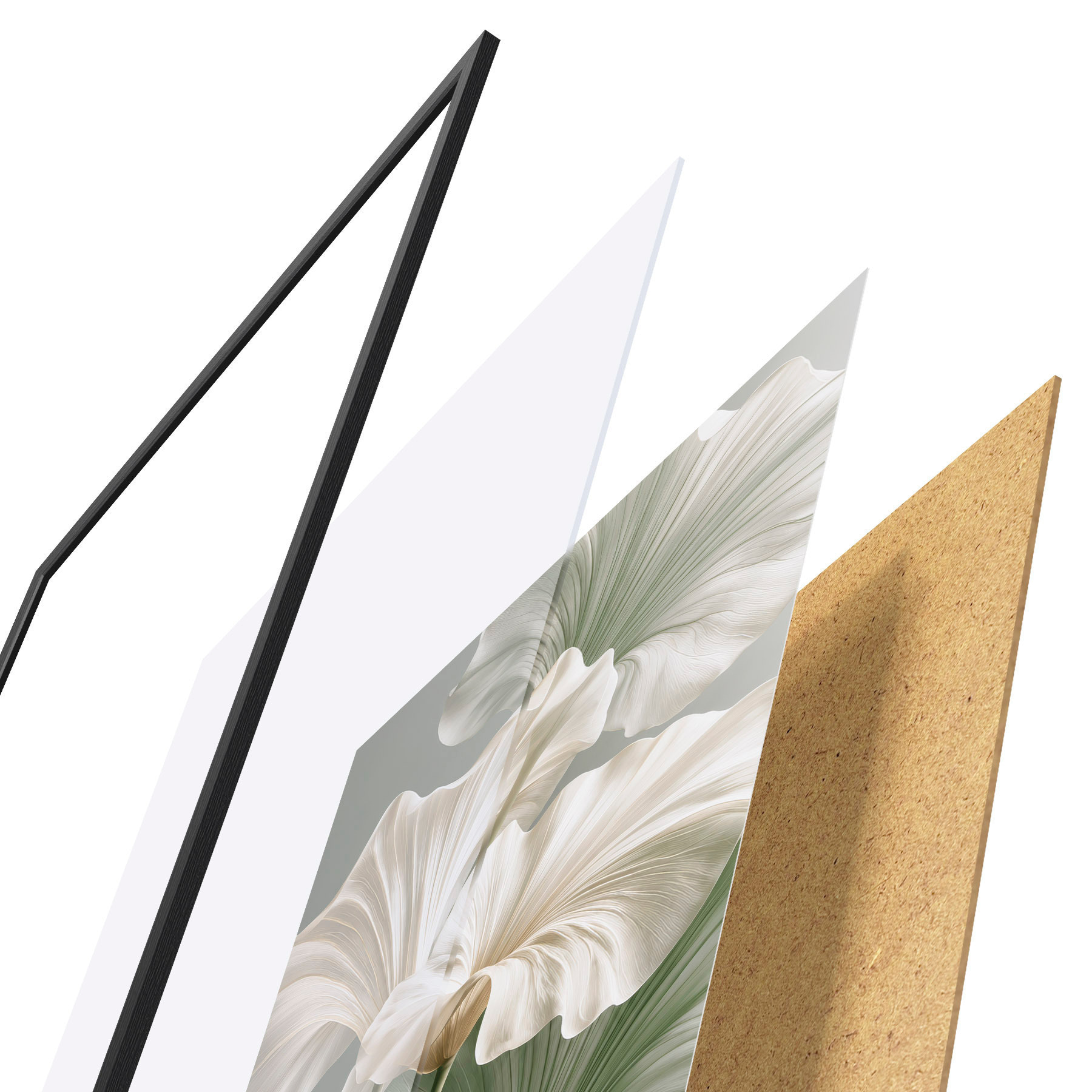 Poster Feuilles délicates f50868